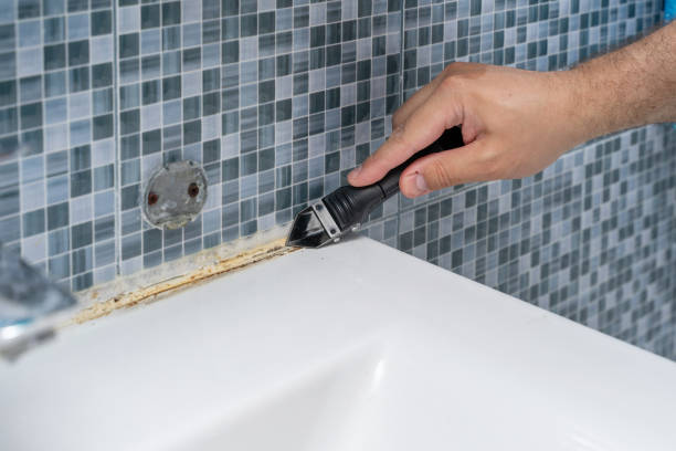 Best Mold Remediation  in Palm Beach Shores, FL